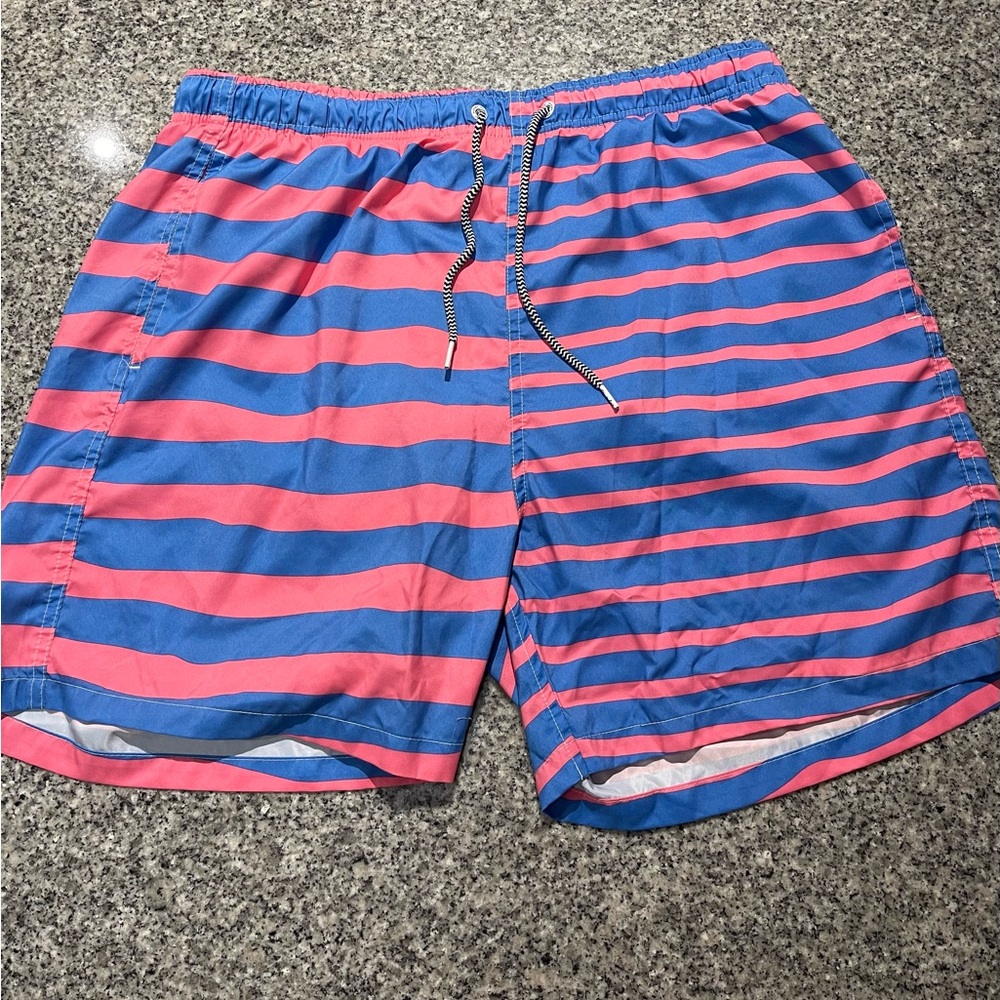 Men's Blue and Pink Striped Swim Shorts